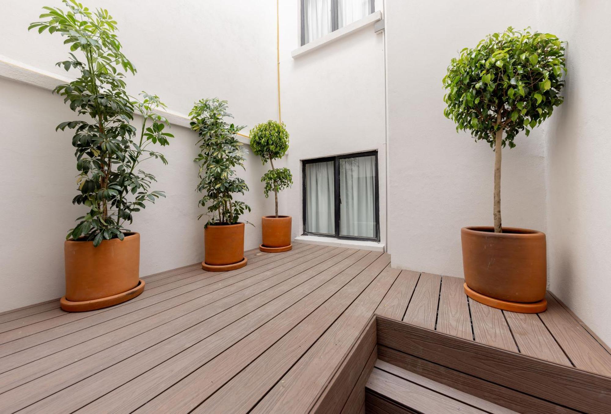 Baranda Ocho Apartment Ciudad de México Exterior foto